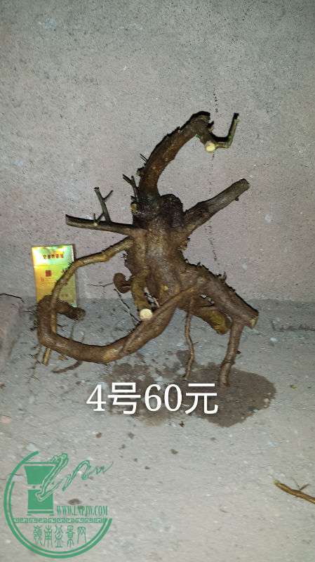 681745