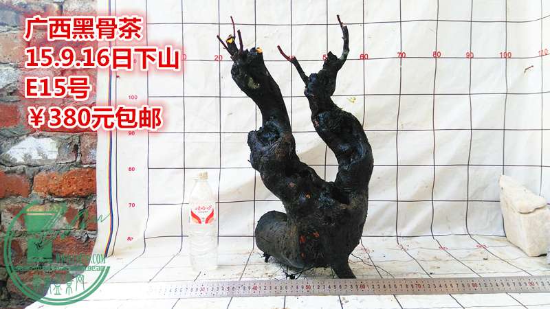 IMG_20150916_162754_.jpg