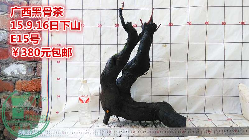 IMG_20150916_162902_.jpg