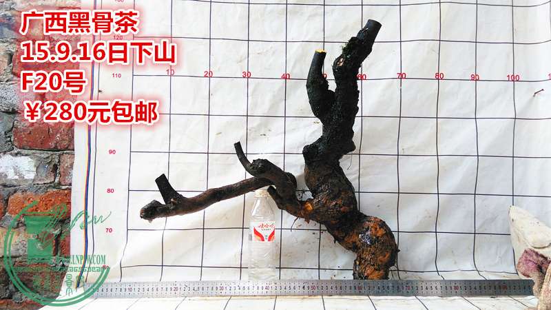 IMG_20150916_165847_.jpg