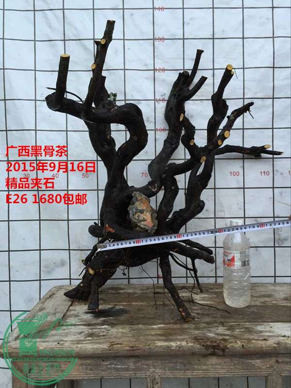QQͼƬ20150916185802_.jpg
