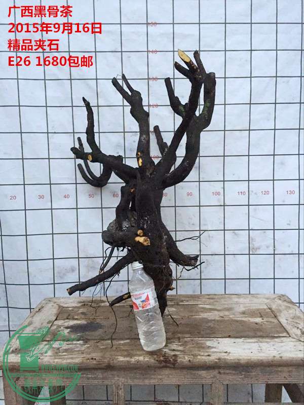 QQͼƬ20150916185822_.jpg