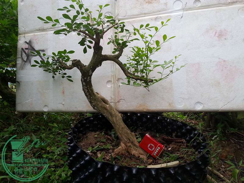 辰20150916_164844.jpg