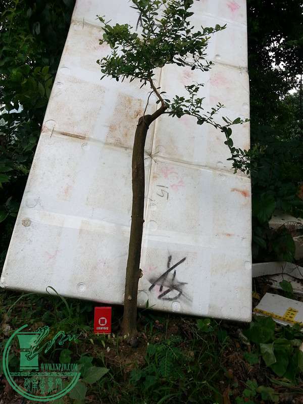 辰20150916_165321.jpg
