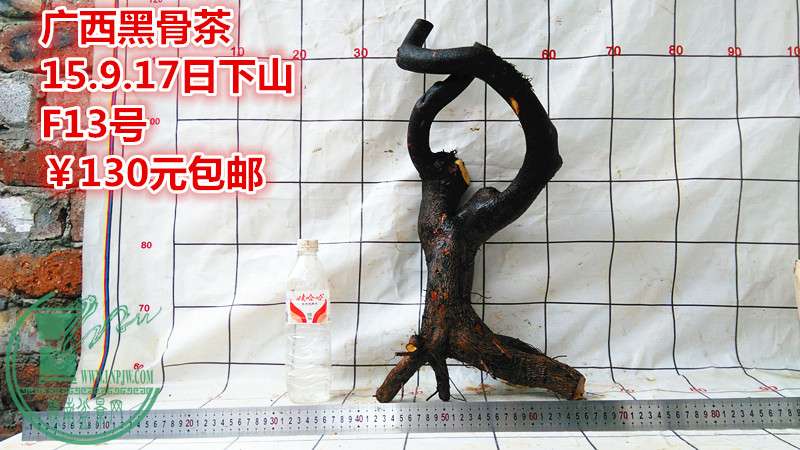 IMG_20150917_175823_.jpg