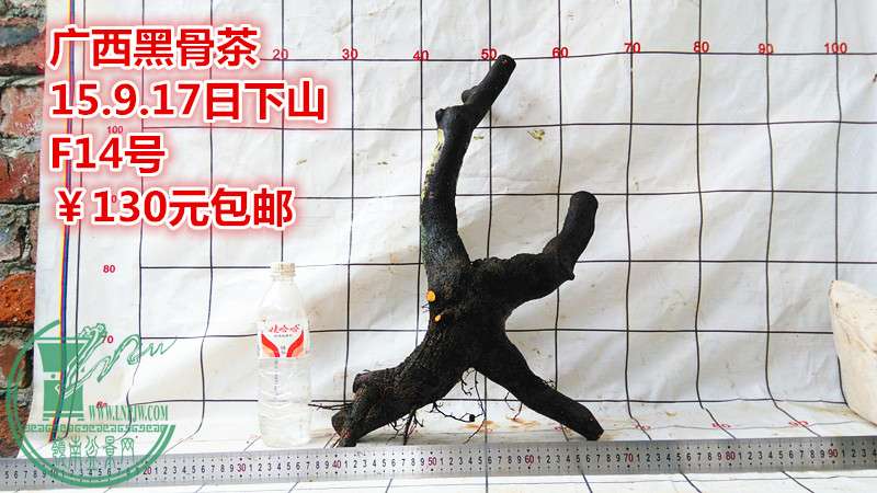 IMG_20150917_175915_.jpg