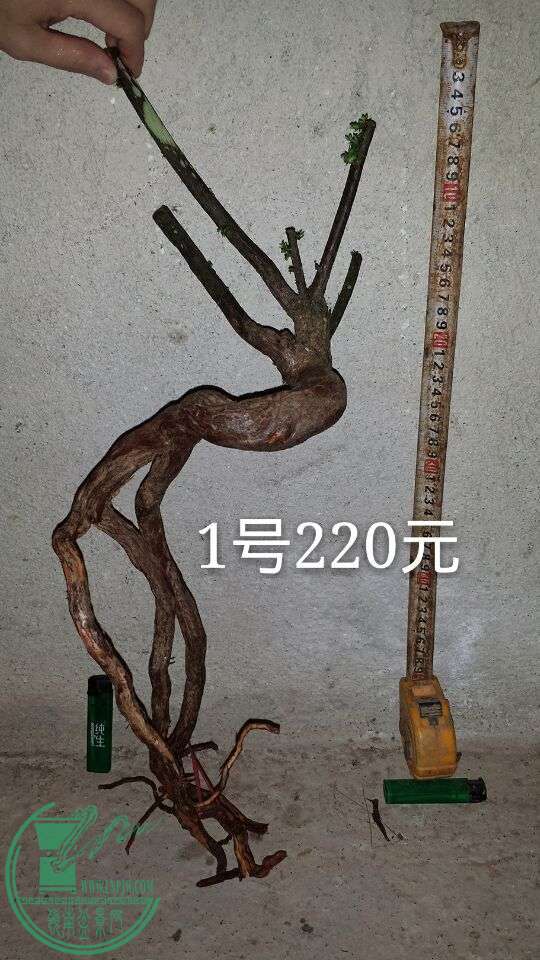 QQͼƬ20150917204844.jpg