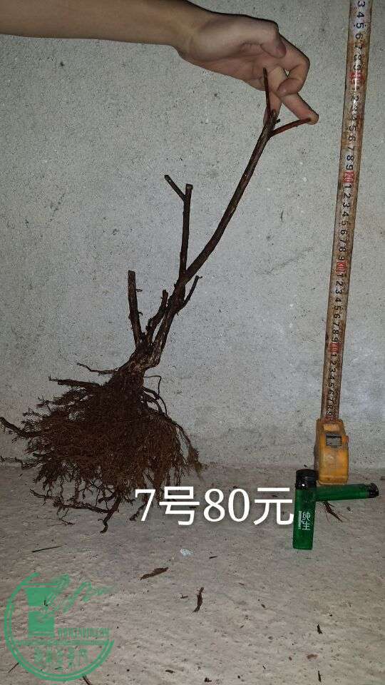 QQͼƬ20150917205210.jpg