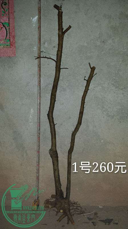 683024