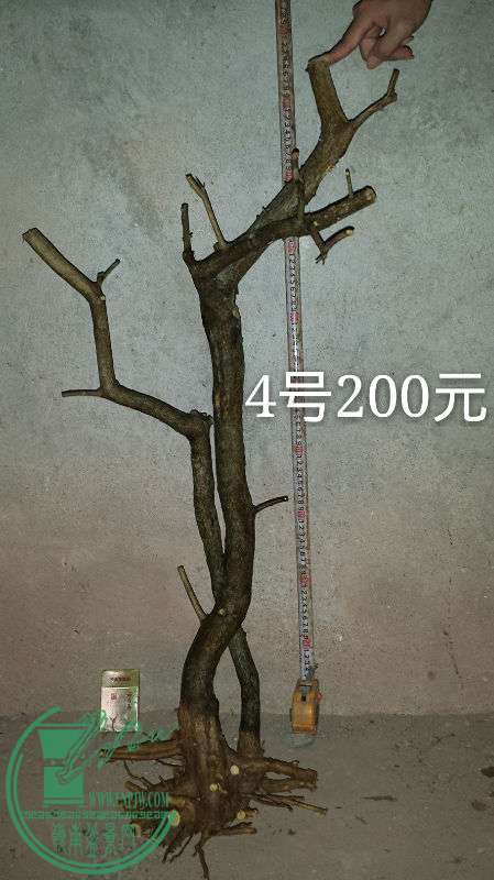683030