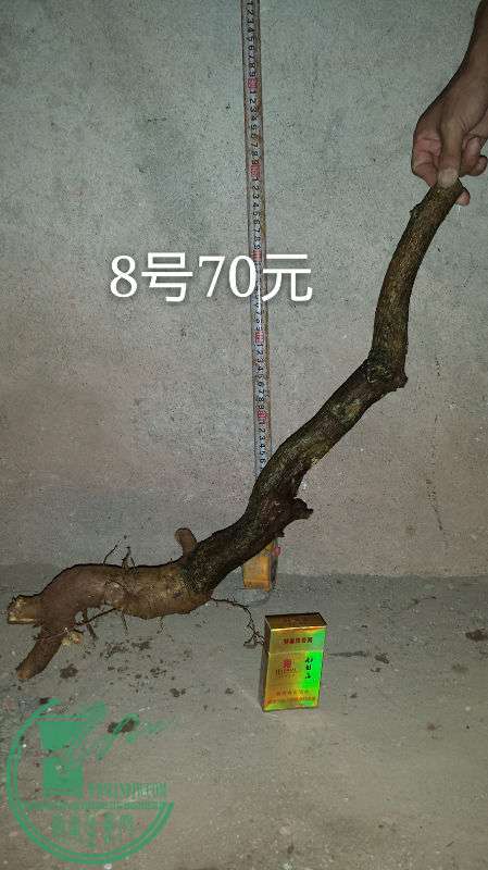 683034