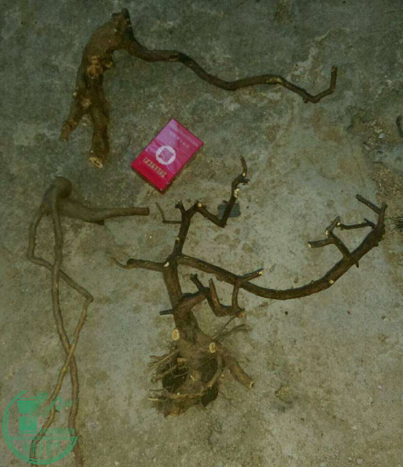 843c28e466e7245.jpg