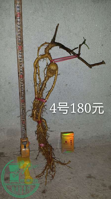 683532