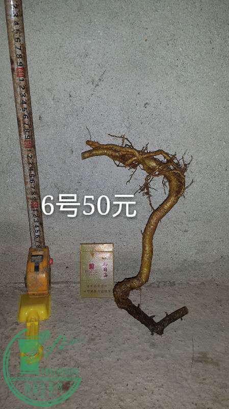 683534