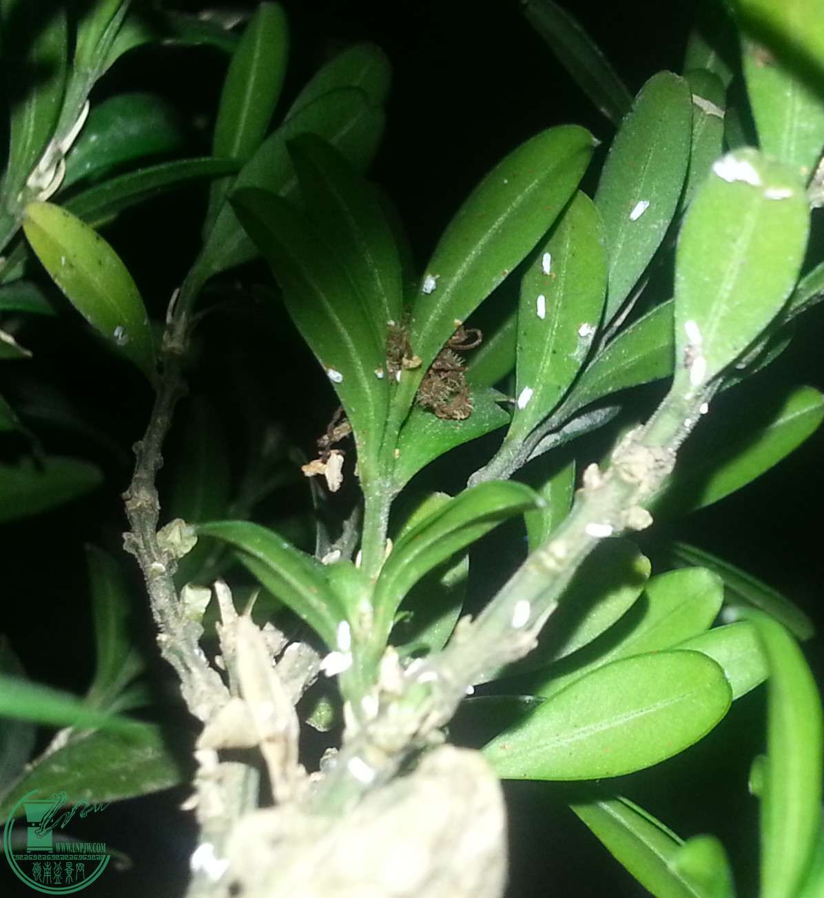20150921_103233_.jpg