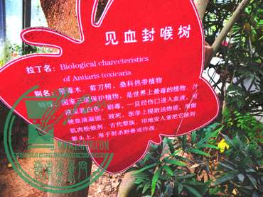 DSCN9005.jpg