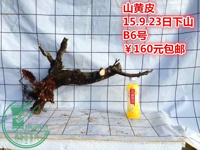 17_.jpg