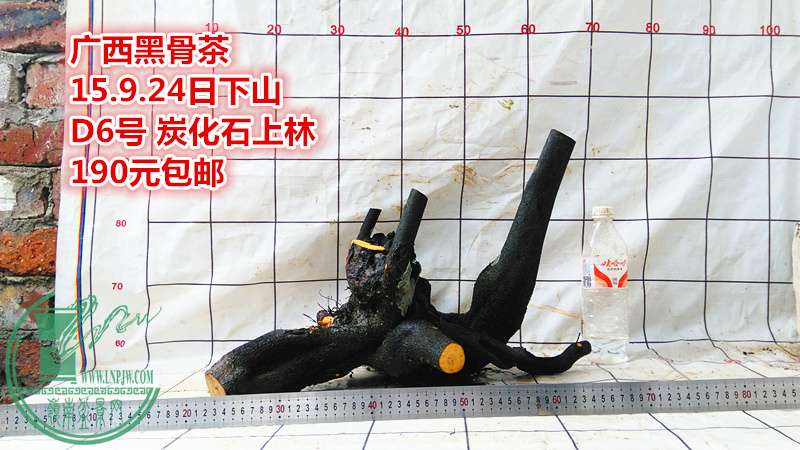 IMG_20150924_141046_.jpg