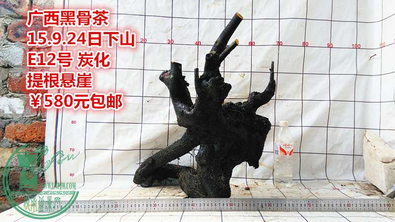 IMG_20150924_143114_.jpg