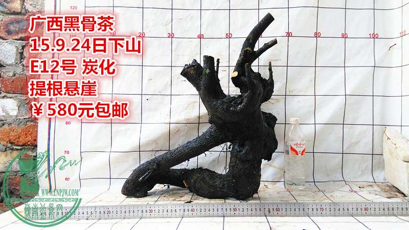 IMG_20150924_143131_.jpg