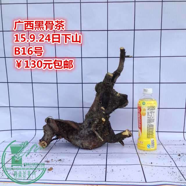 QQͼƬ20150924185423_.jpg
