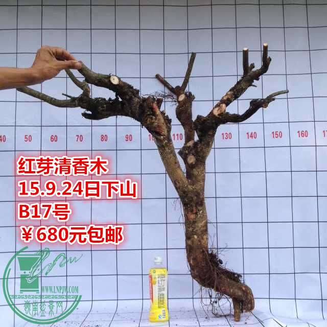 QQͼƬ20150924185426_.jpg
