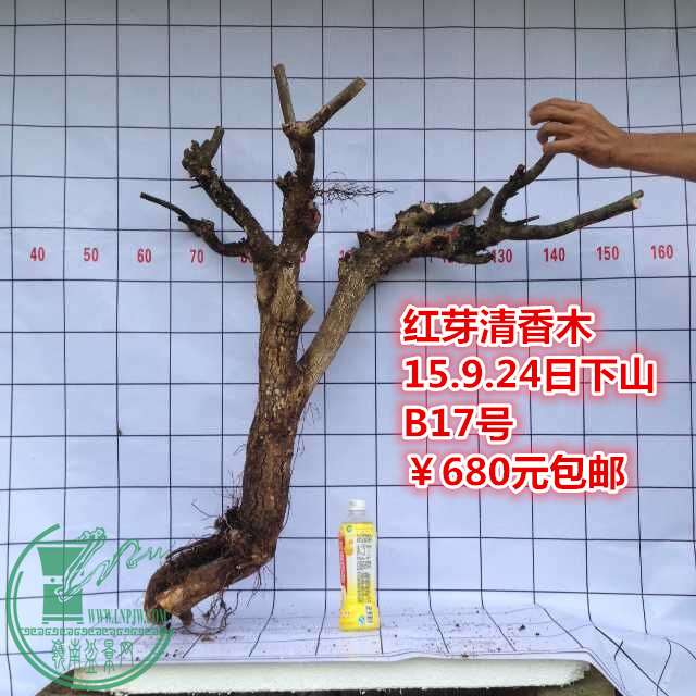 QQͼƬ20150924185434_.jpg