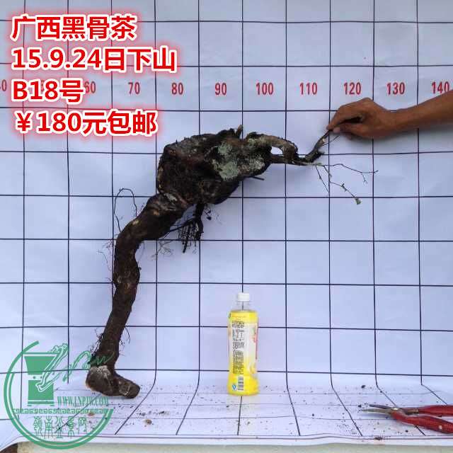 QQͼƬ20150924185447_.jpg