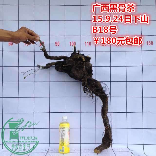 QQͼƬ20150924185454_.jpg