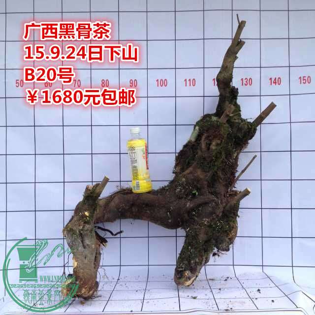 QQͼƬ20150924185517_.jpg