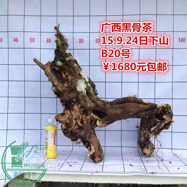 QQͼƬ20150924185526_.jpg