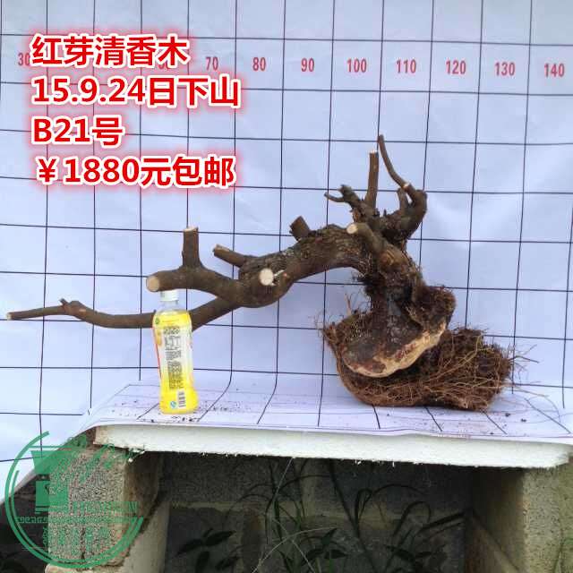 QQͼƬ20150924185535_.jpg