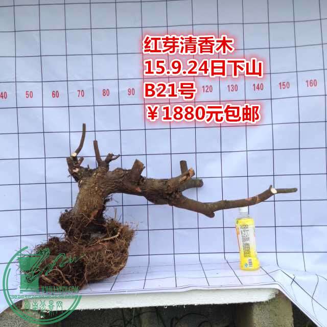 QQͼƬ20150924185542_.jpg
