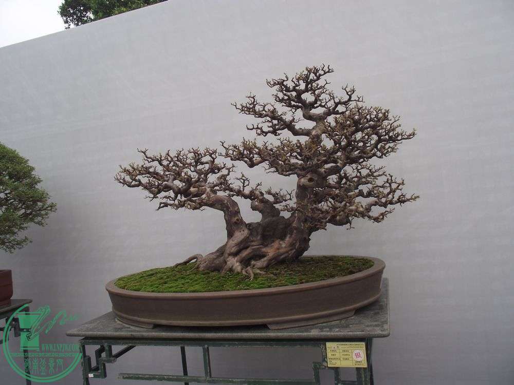 DSCF0201.JPG