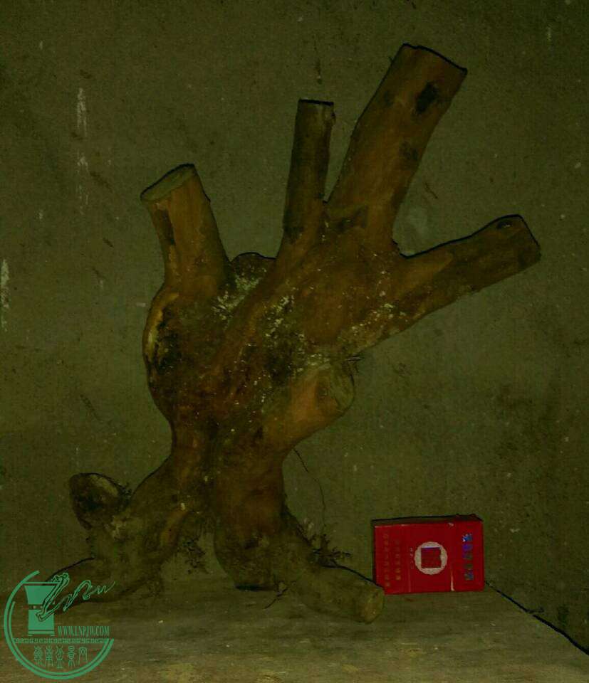 11e42dfdbead7b62.jpg