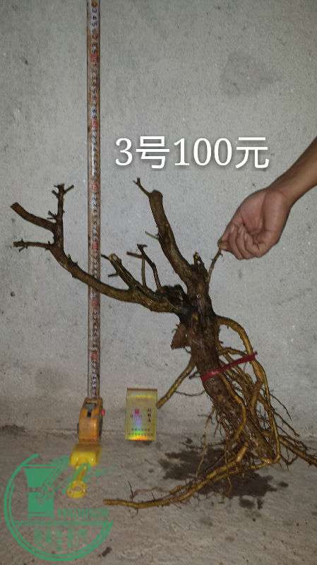 685409