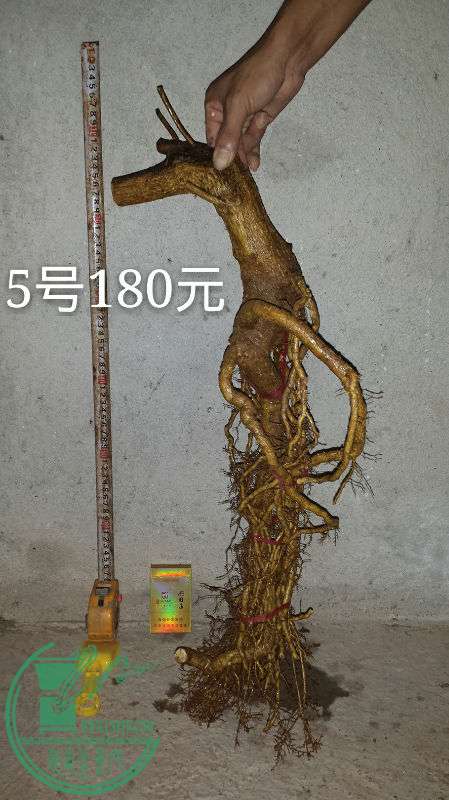 685411