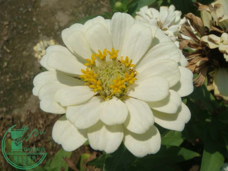 DSC09225.jpg