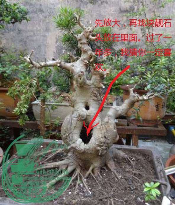 142357u9o6vz9c6nv3rurs.jpg.thumb.jpg