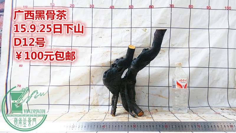 IMG_20150925_173453_.jpg