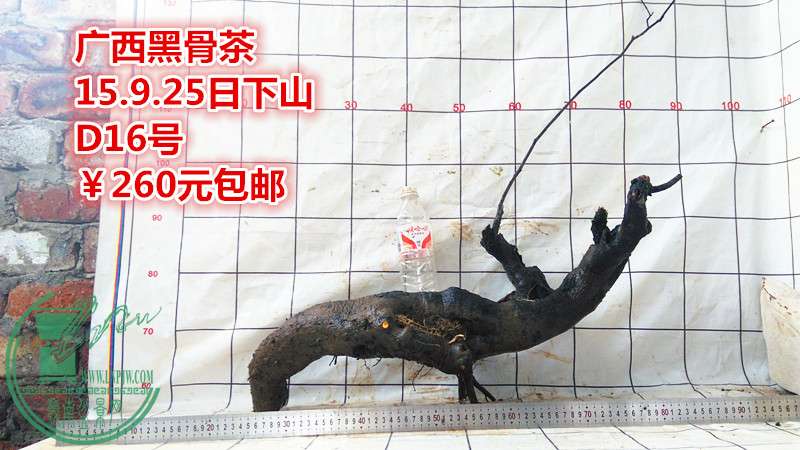 IMG_20150925_174233_.jpg