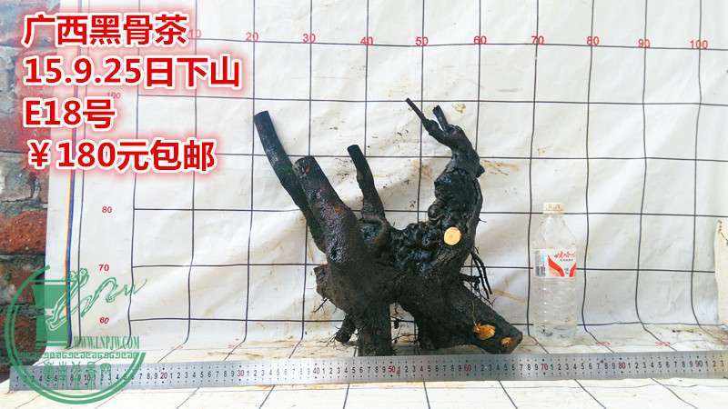 IMG_20150925_174645_.jpg