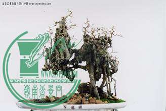 u=1657375567,2777606940&amp;fm=21&amp;gp=0.jpg