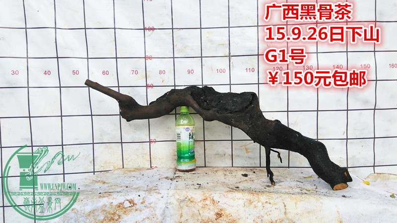 IMG_20150926_141513_.jpg