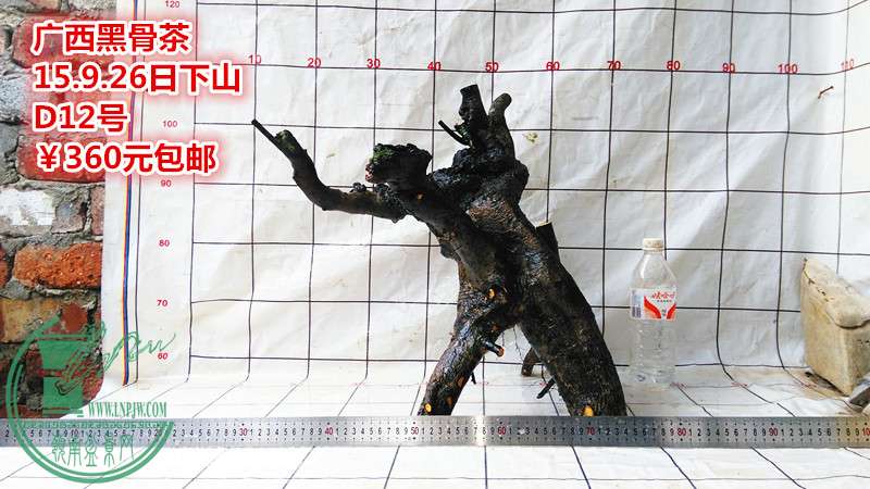 IMG_20150926_171211_.jpg