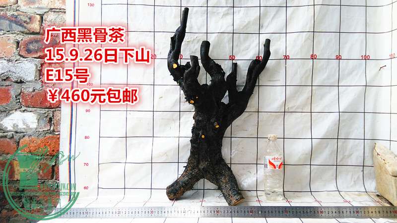 IMG_20150926_171920_.jpg