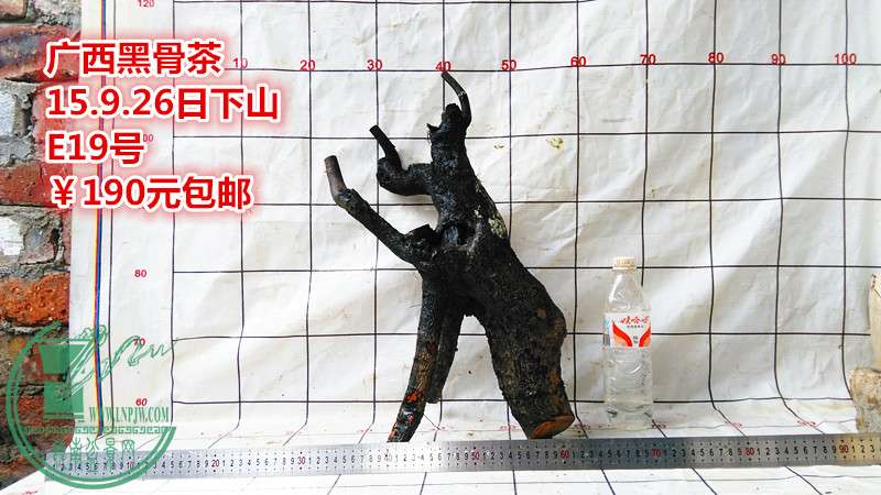 IMG_20150926_172532_.jpg