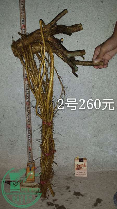 686613