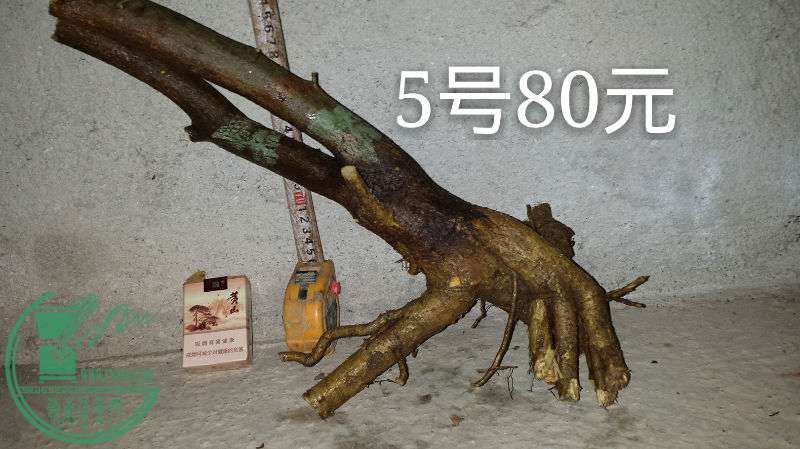 686616