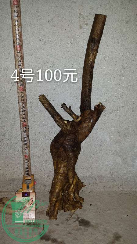 686617